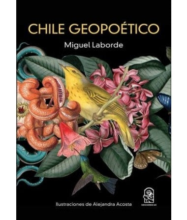 CHILE GEOPOETICO