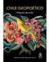 CHILE GEOPOETICO