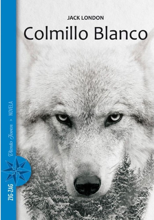COLMILLO BLANCO