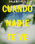 CUANDO NADIE TE VE