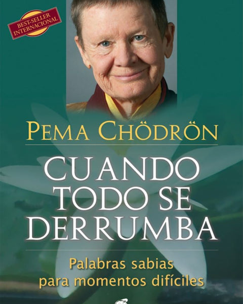 CUANDO TODO SE DERRUMBA