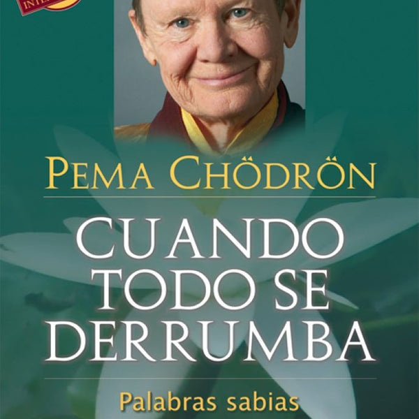 CUANDO TODO SE DERRUMBA