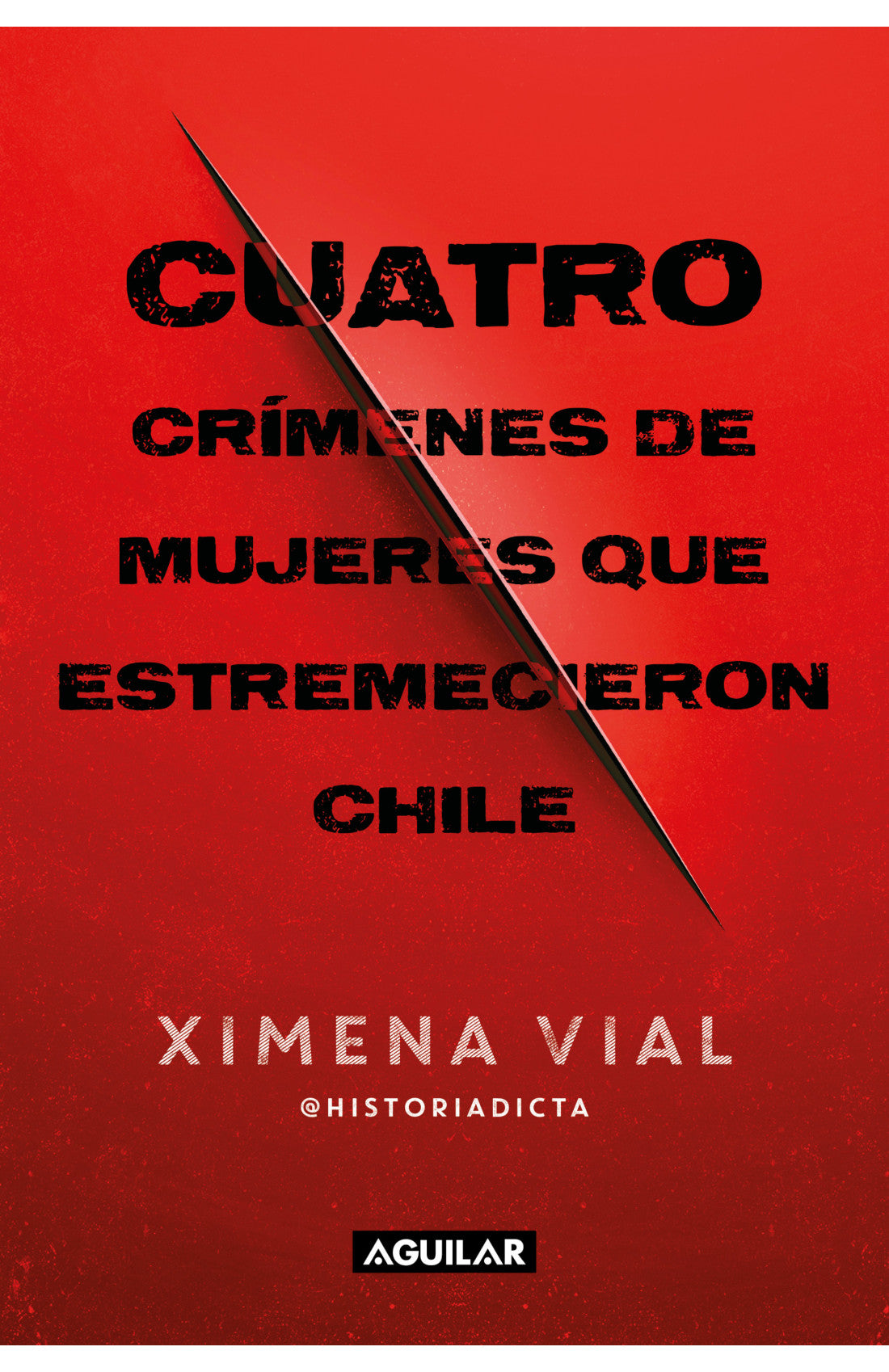 CUATRO CRIMENES DE MUJERES QUE ESTREMECIERON CHILE