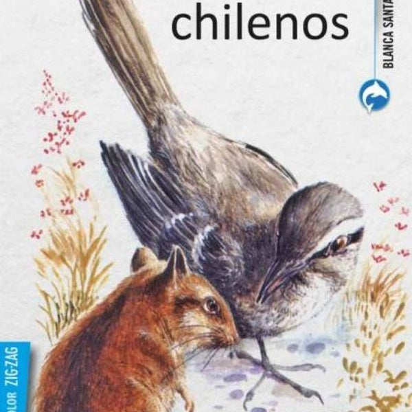 CUENTOS CHILENOS