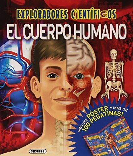 EL CUERPO HUMANO
