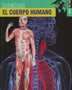 CUERPO HUMANO