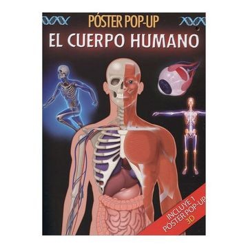 CUERPO HUMANO POSTER POP UP