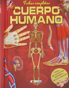 CUERPO HUMANO (FICHAS COMPLETAS) ROJO