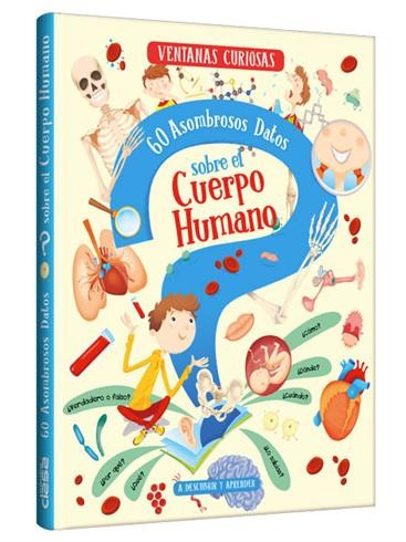 CUERPO HUMANO - VENTANAS CURIOSAS