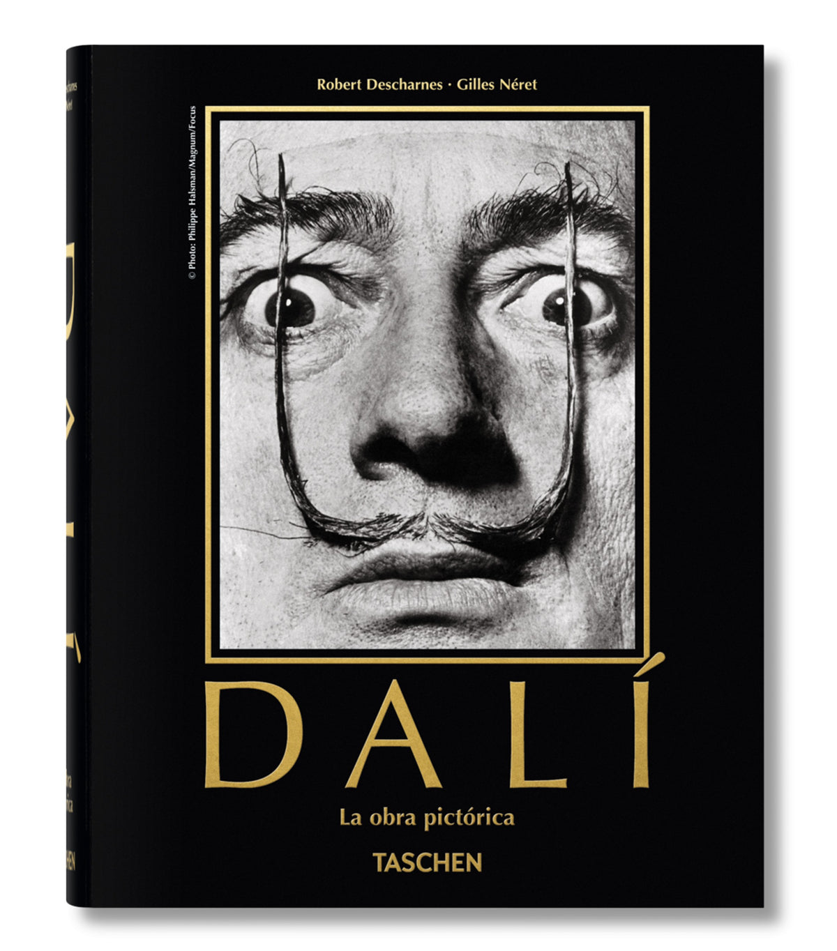 DALI. LA OBRA PICTORICA