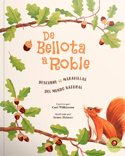 DE BELLOTA A ROBLE