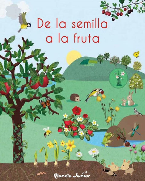 DE LA SEMILLA A LA FRUTA