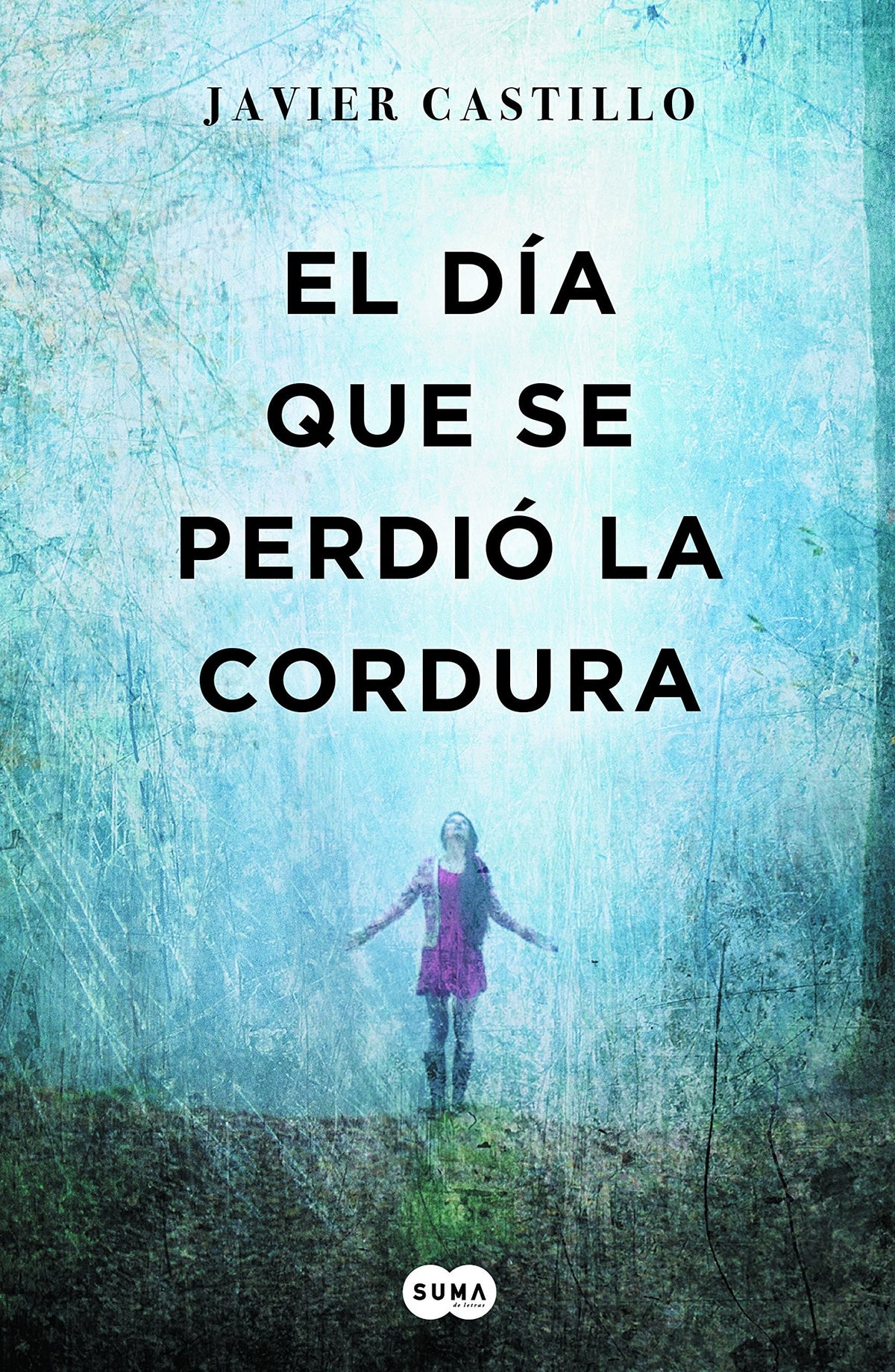 DIA QUE SE PERDIO LA CORDURA