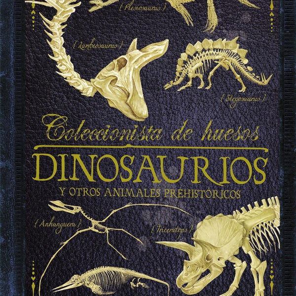 DINOSAURIOS Y OTROS ANIMALES PREHISTORICOS