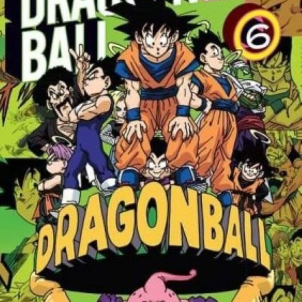 DRAGON BALL COLOR: SAGA MAJINBOO 06 (LN)
