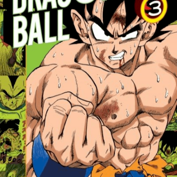 DRAGON BALL COLOR: SAGA SAIYAJIN 03