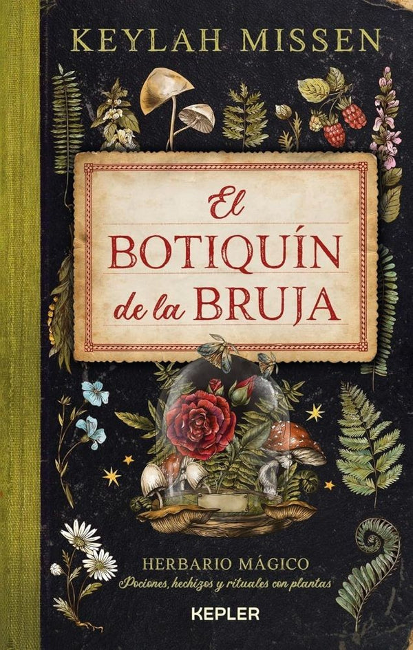 EL BOTIQUIN DE LA BRUJA