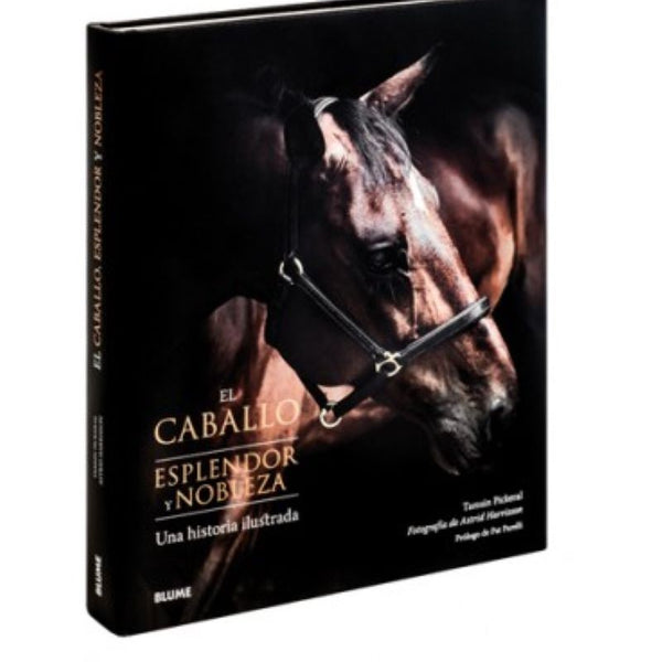 EL CABALLO. ESPLENDOR Y NOBLEZA