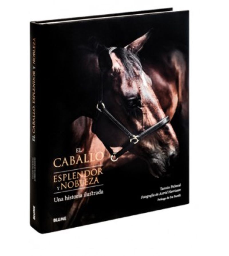 EL CABALLO. ESPLENDOR Y NOBLEZA