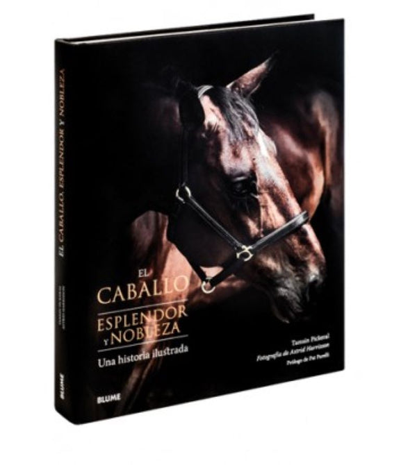 EL CABALLO. ESPLENDOR Y NOBLEZA