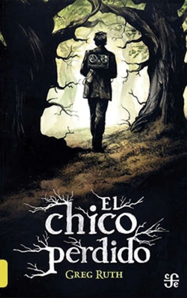 EL CHICO PERDIDO