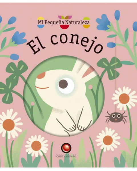 EL CONEJO.mi pequeña naturaleza