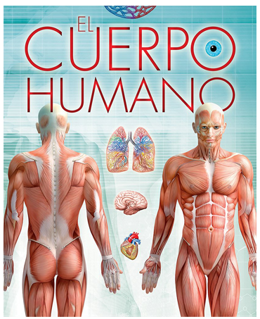 EL CUERPO HUMANO  - enciclopedia