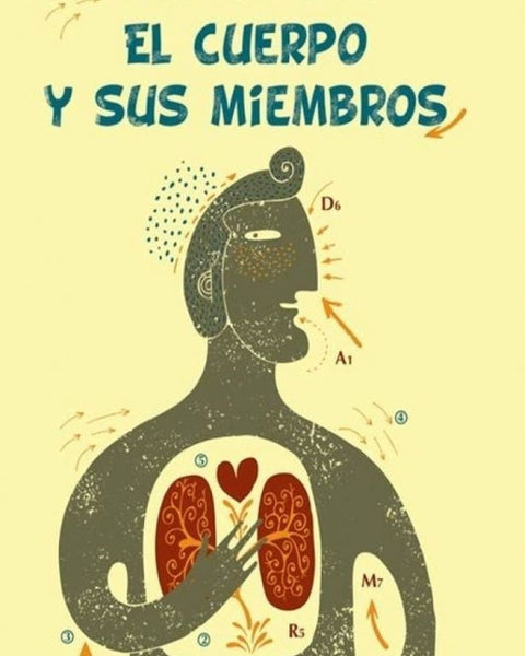 EL CUERPO Y SUS MIEMBROS