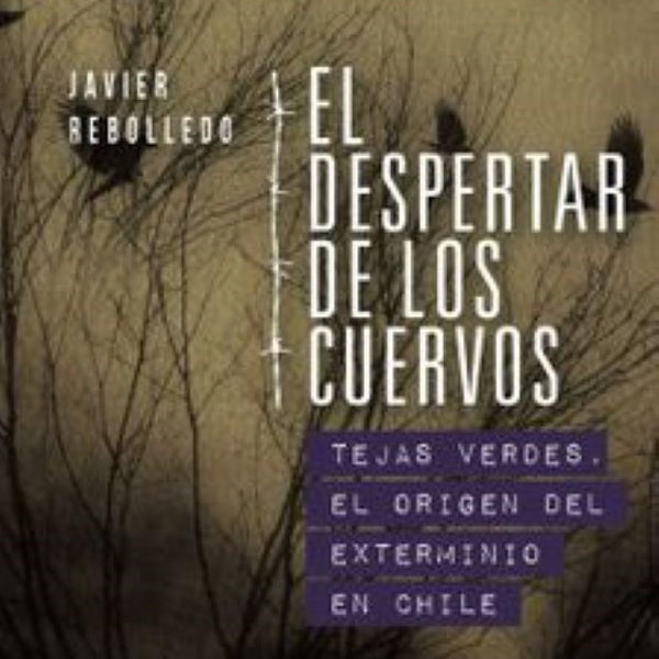 EL DESPERTAR DE LOS CUERVOS