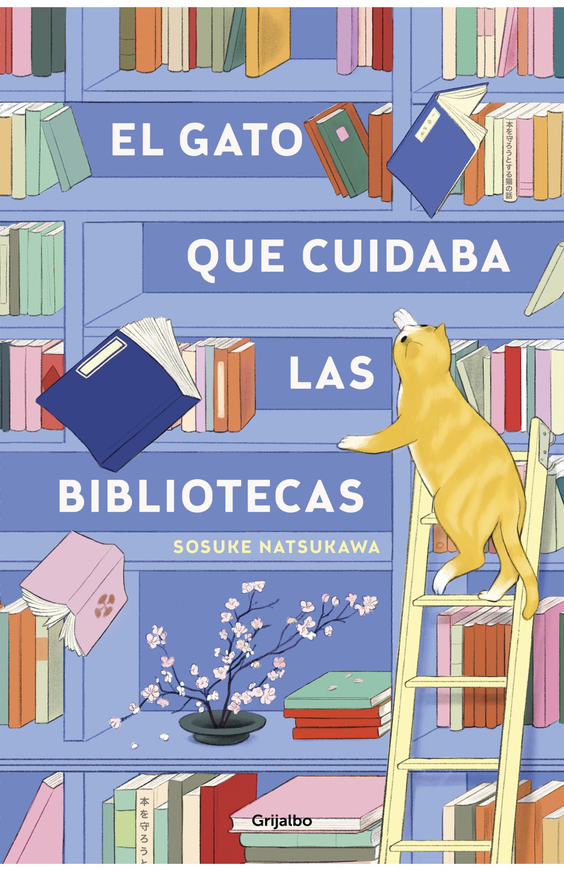 EL GATO QUE CUIDABA LAS BIBLIOTECA