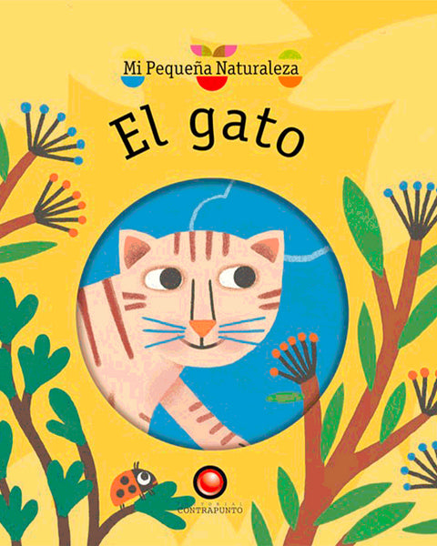 EL GATO.mi pequeña naturaleza
