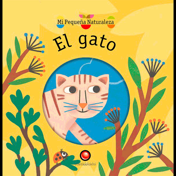 EL GATO.mi pequeña naturaleza