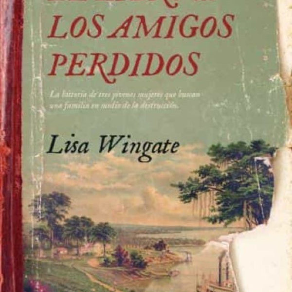 EL LIBRO DE LOS AMIGOS PERDIDOS