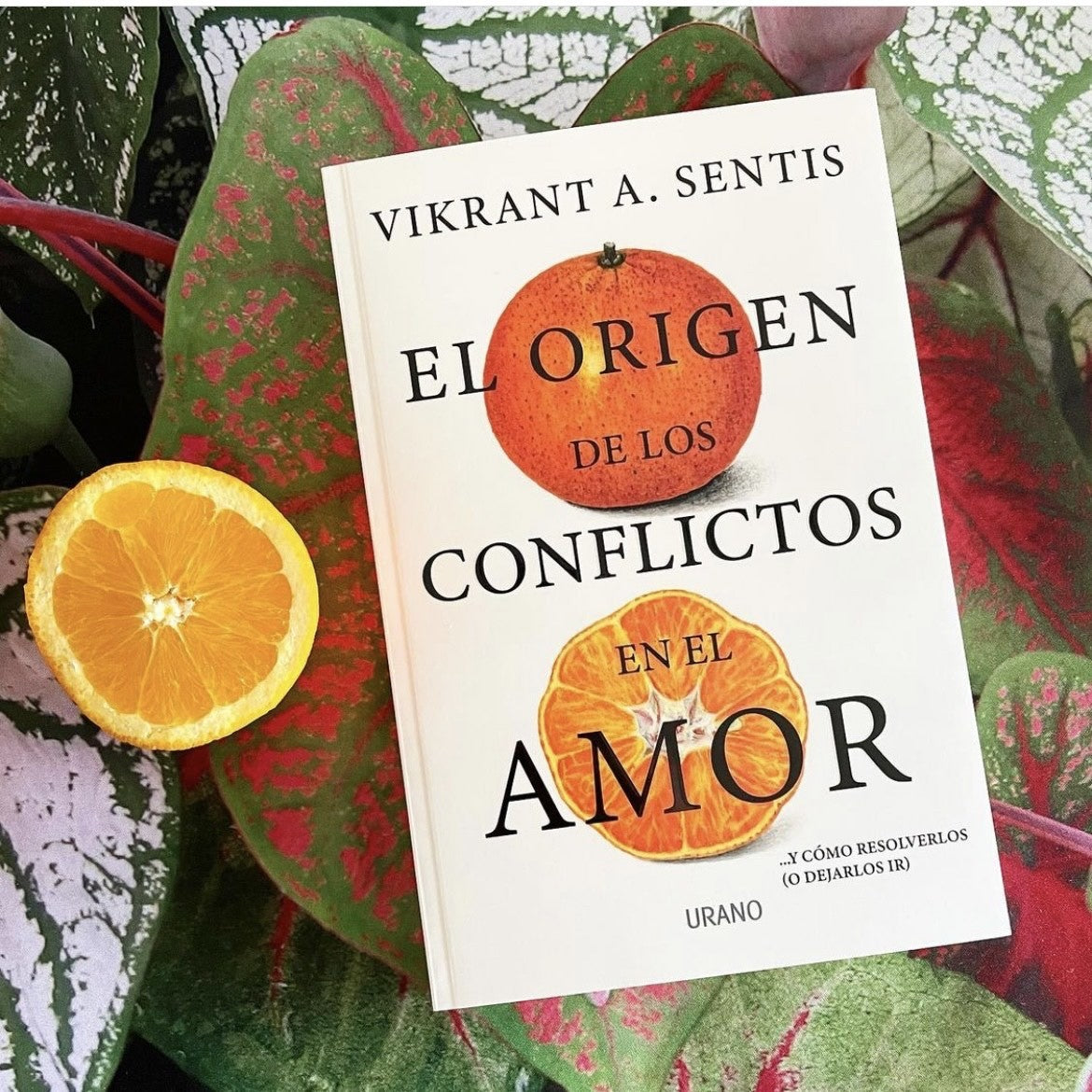 EL ORIGEN DE LOS CONFLICTOS DE AMOR