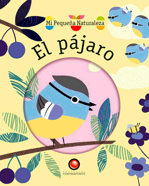 EL PAJARO.mi pequeña naturaleza
