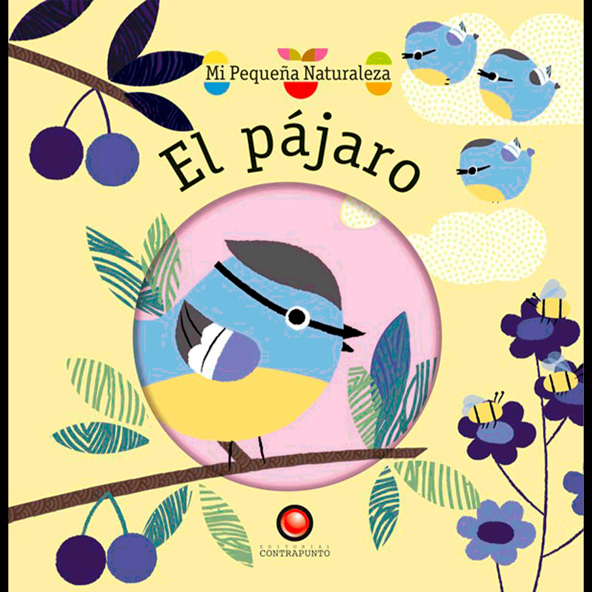 EL PAJARO.mi pequeña naturaleza