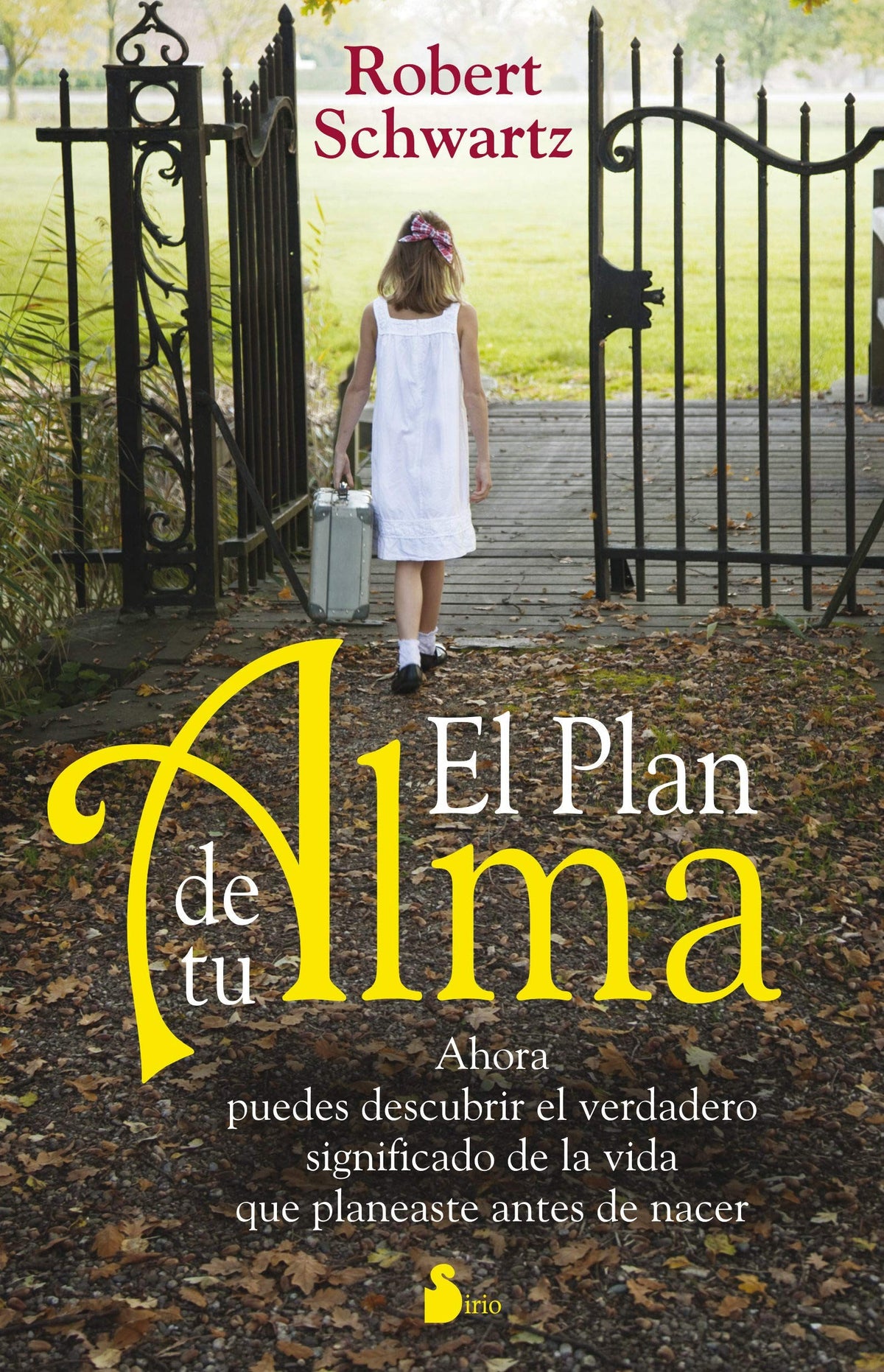 EL PLAN DE TU ALMA