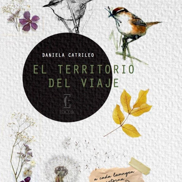 EL TERRITORIO SALVAJE