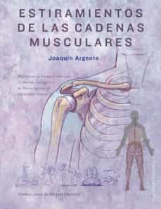 ESTIRAMIENTO DE LAS CADERAS MUSCULARES