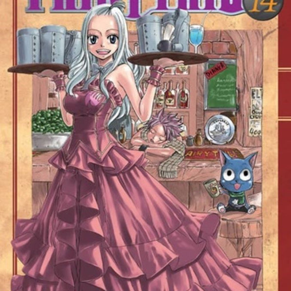 FAIRY TAIL 14