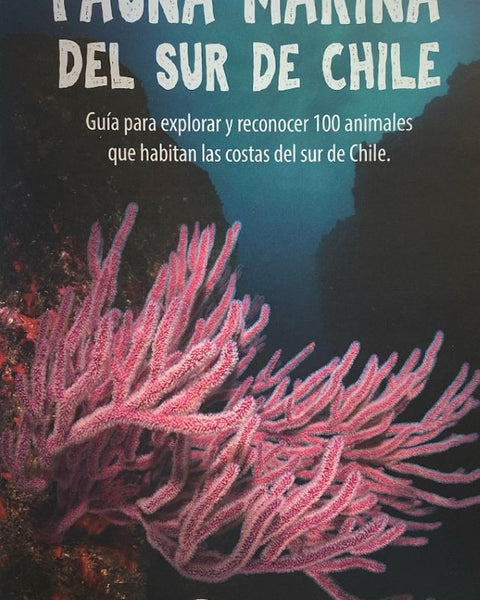 FAUNA MARINA DEL SUR DE CHILE
