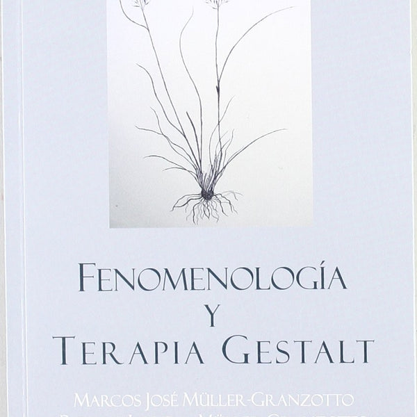 Fenomenologia Y Terapia Gestalt  (Cuatro Vientos)