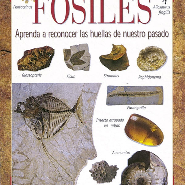 FOSILES (PEQUEÑAS JOYAS)
