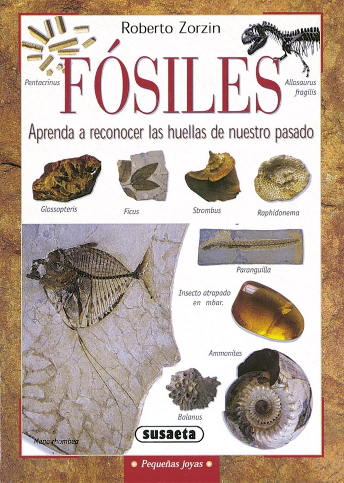 FOSILES (PEQUEÑAS JOYAS)
