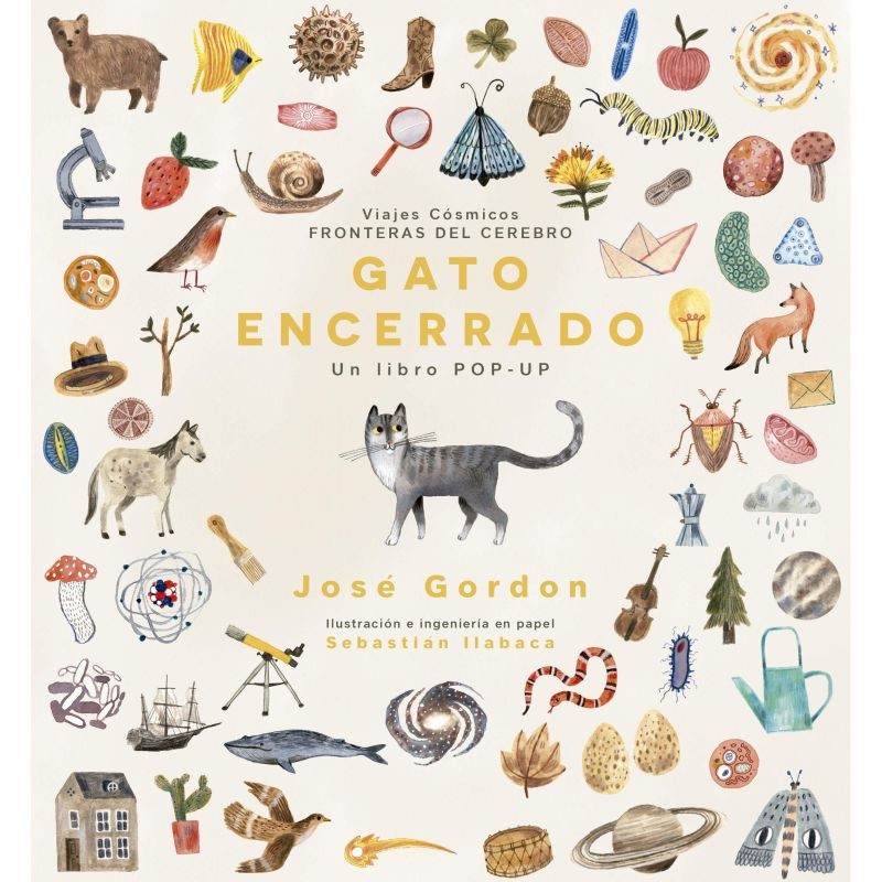 GATO ENCERRADO POP-UP