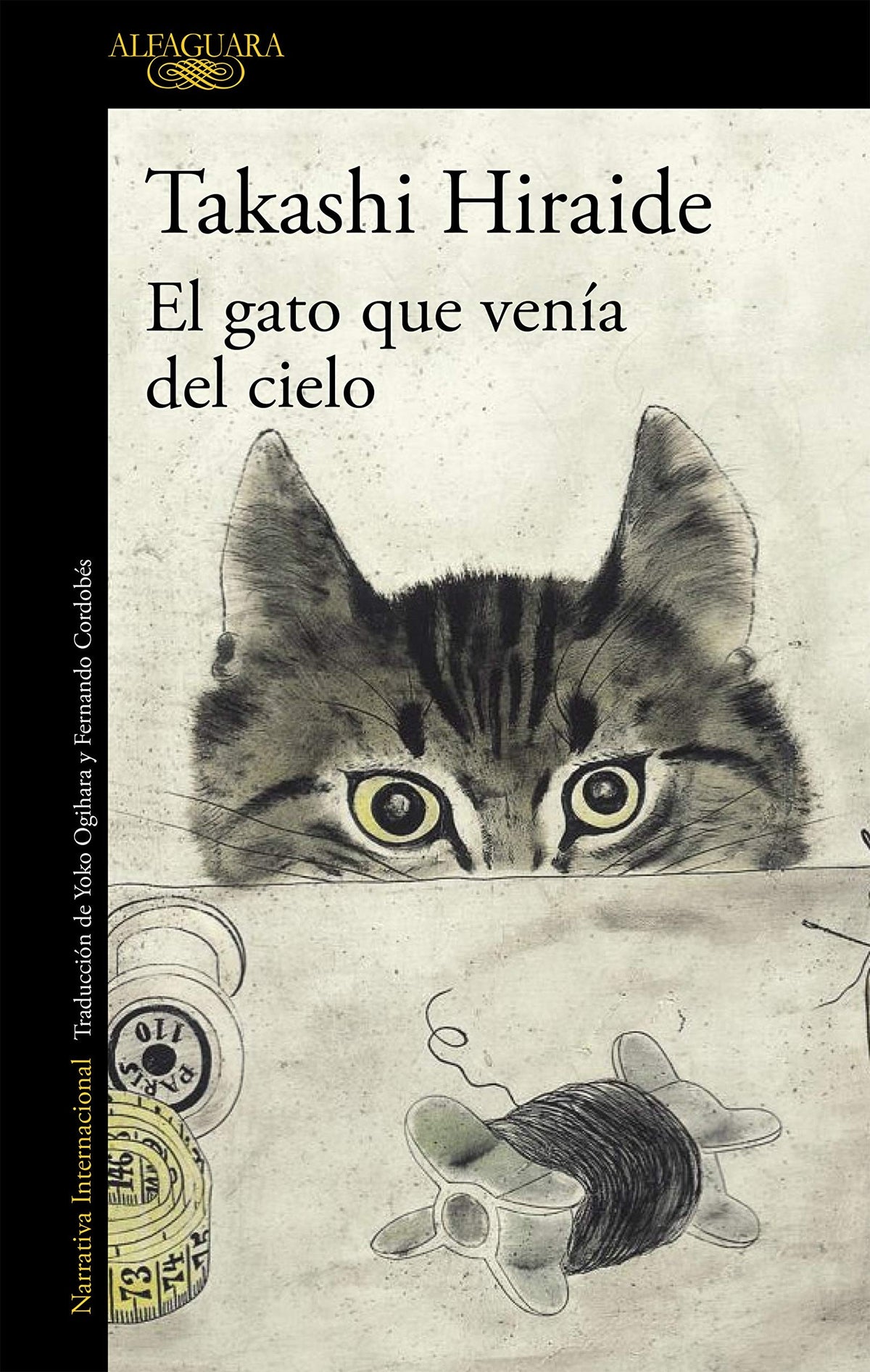 GATO QUE VENIA DEL CIELO