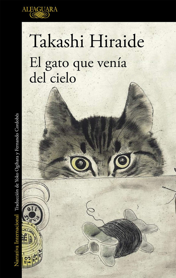 GATO QUE VENIA DEL CIELO