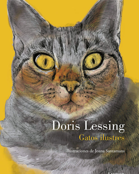 GATOS ILUSTRES