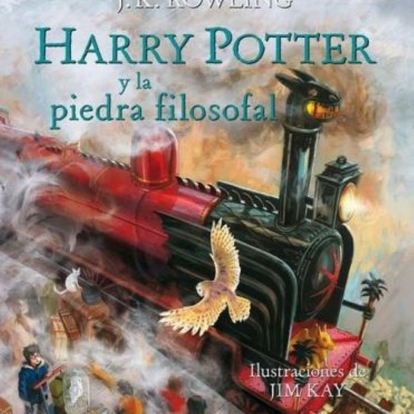 HARRY POTTER I Y  LA PIEDAR FILOSOFAL - ILUSTRADO (RUSTICO)