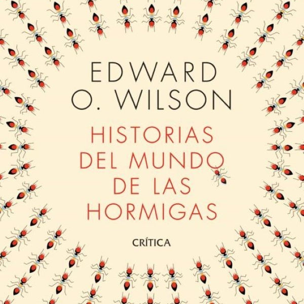 HISTORIAS DEL MUNDO DE LAS HORMIGAS